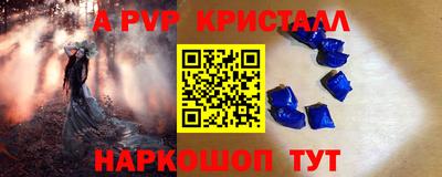 гашик Донской