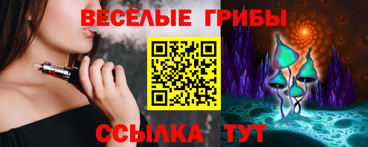 Галлюциногенные грибы прущие грибы  Вход с VPN  Зима 
