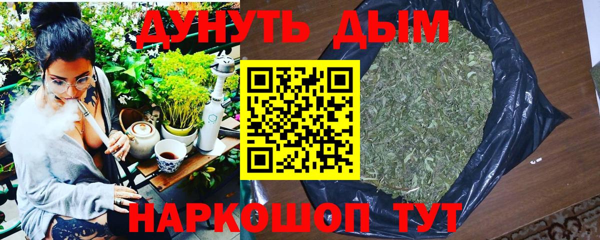 Канабис ГИДРОПОН Зима